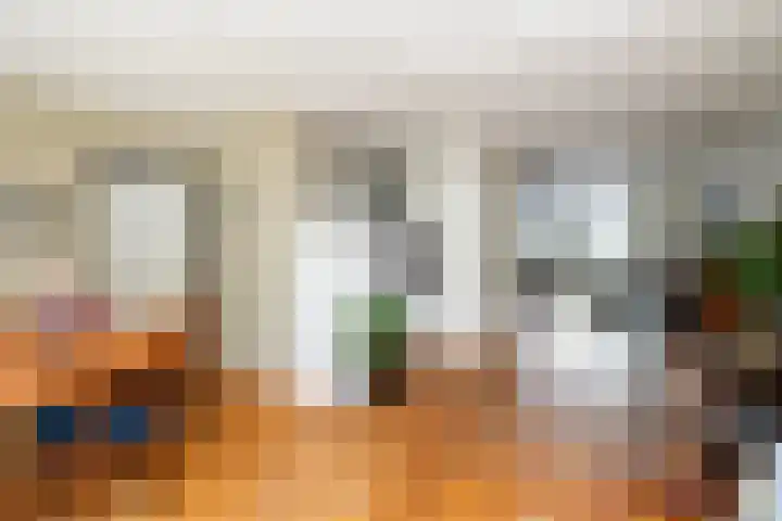 Zonnebloempad 40 Swifterbant thumbnail 12