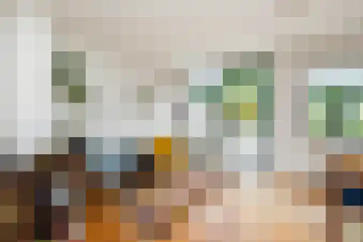 Zonnebloempad 40 Swifterbant thumbnail 13