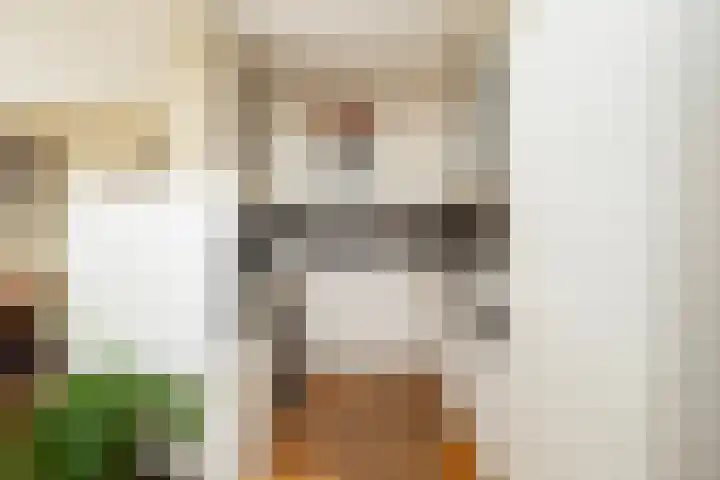 Zonnebloempad 40 Swifterbant thumbnail 14