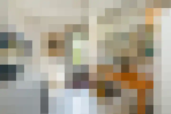Zonnebloempad 40 Swifterbant thumbnail 15