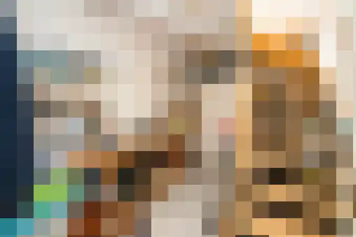 Zonnebloempad 40 Swifterbant thumbnail 16