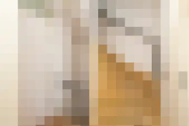 Zonnebloempad 40 Swifterbant thumbnail 18