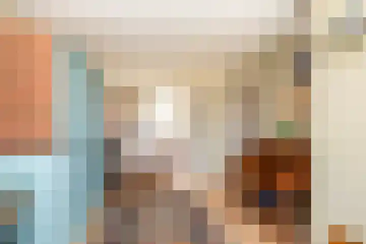 Zonnebloempad 40 Swifterbant thumbnail 19