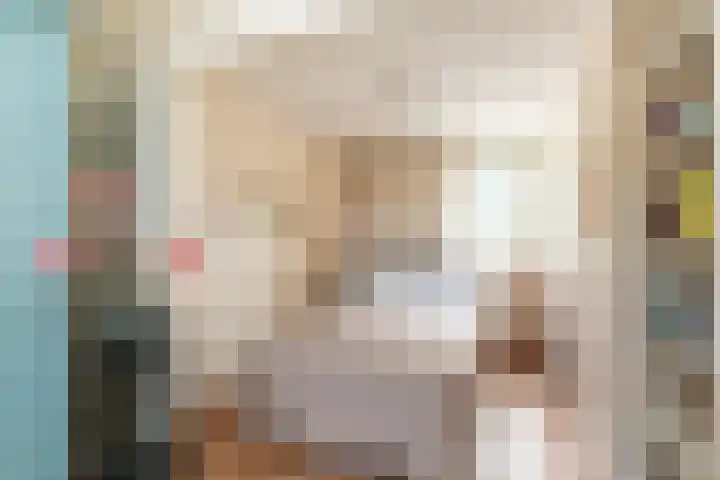 Zonnebloempad 40 Swifterbant thumbnail 20