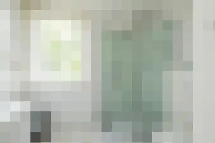 Zonnebloempad 40 Swifterbant thumbnail 23