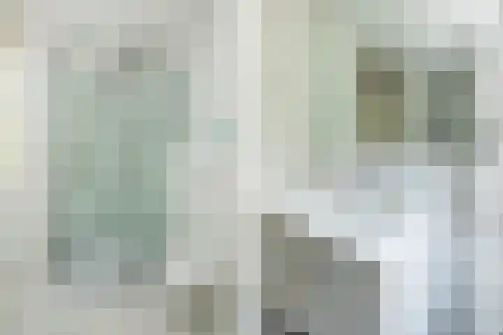 Zonnebloempad 40 Swifterbant thumbnail 24