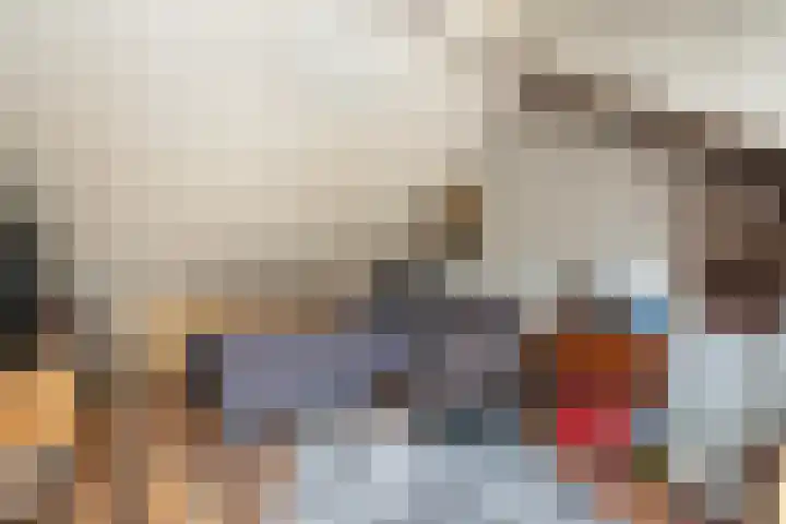 Zonnebloempad 40 Swifterbant thumbnail 25
