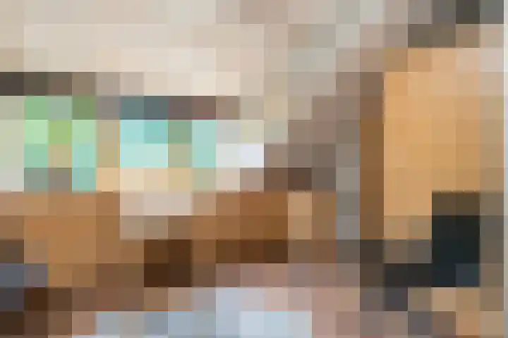 Zonnebloempad 40 Swifterbant thumbnail 26