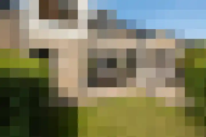 Zonnebloempad 40 Swifterbant thumbnail 29