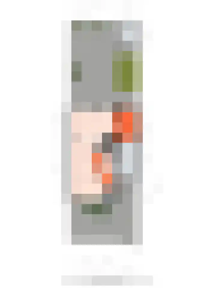 Zonnebloempad 40 Swifterbant thumbnail 32
