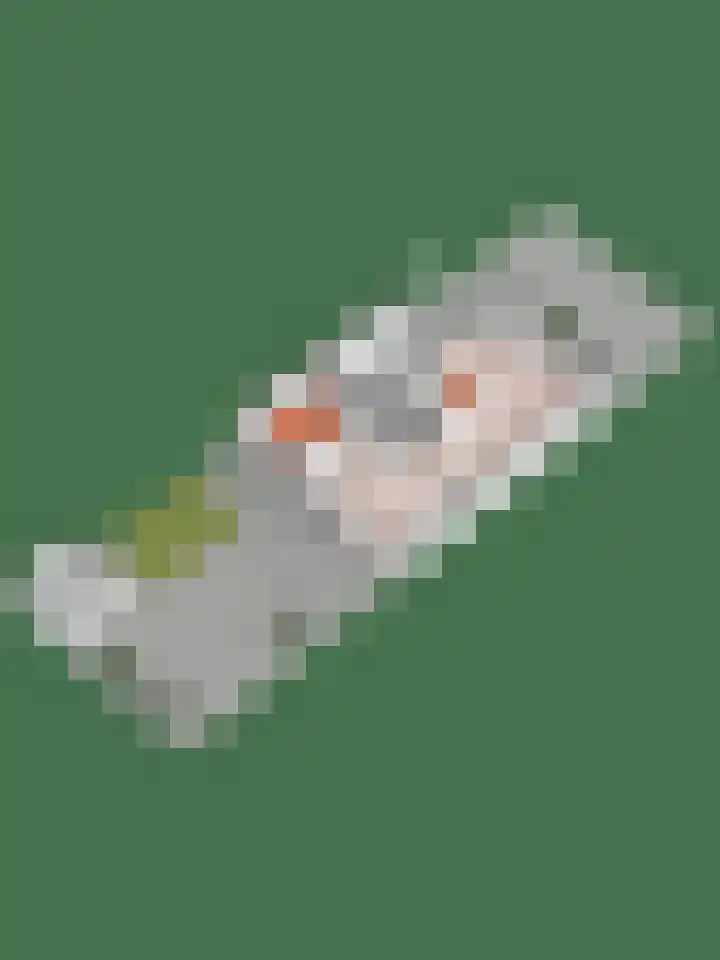 Zonnebloempad 40 Swifterbant thumbnail 37