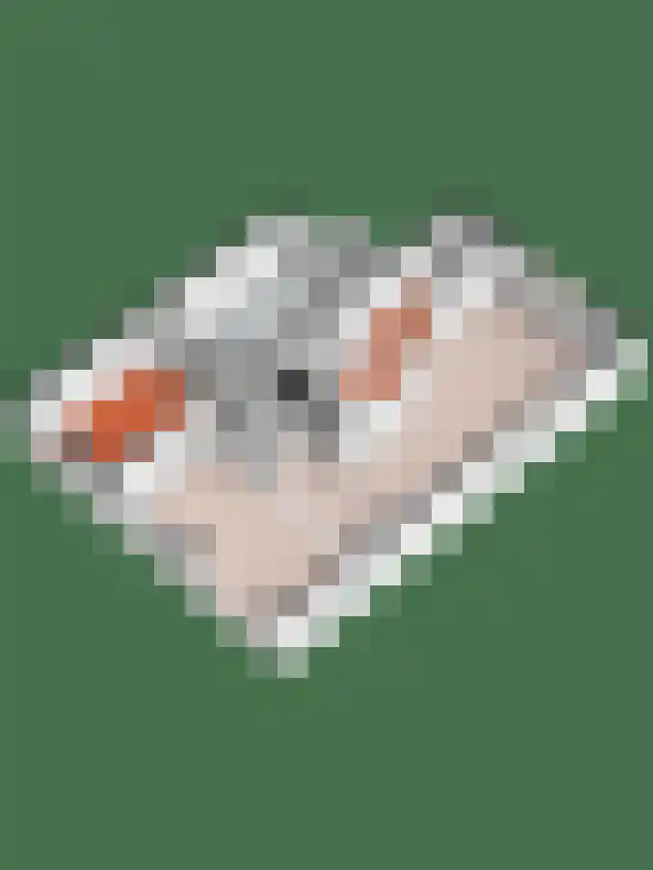Zonnebloempad 40 Swifterbant thumbnail 38