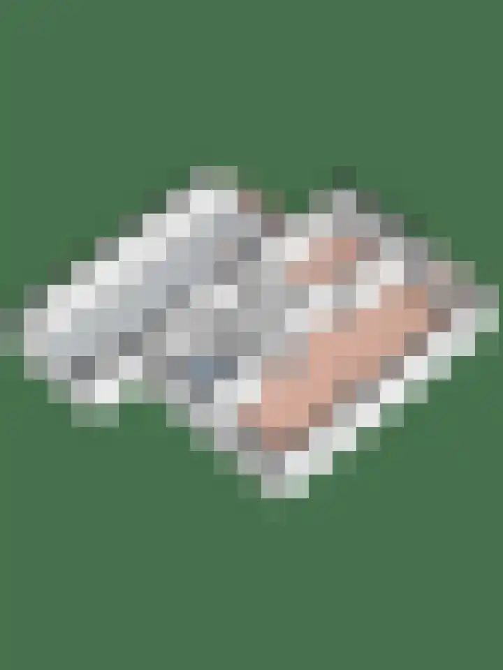 Zonnebloempad 40 Swifterbant thumbnail 39