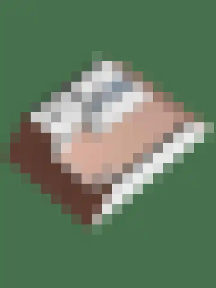 Zonnebloempad 40 Swifterbant thumbnail 40