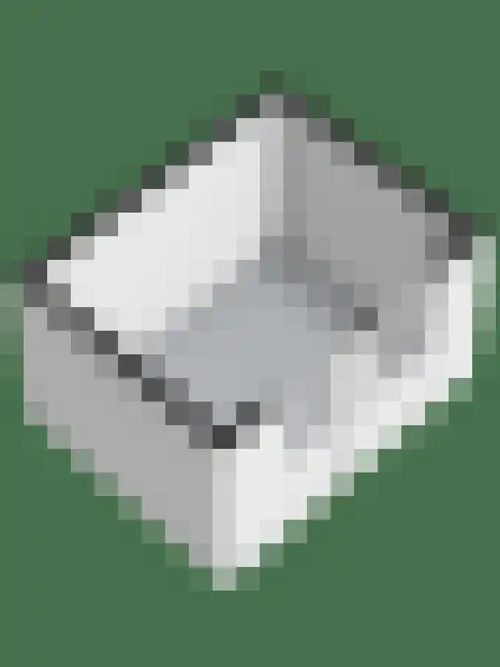 Zonnebloempad 40 Swifterbant thumbnail 41