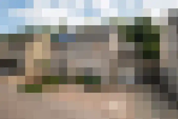 Zonnebloempad 40 Swifterbant thumbnail 42