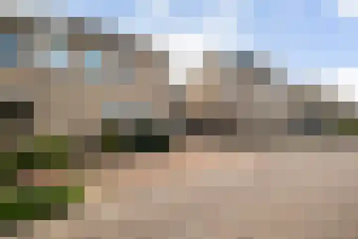 Zonnebloempad 40 Swifterbant thumbnail 6