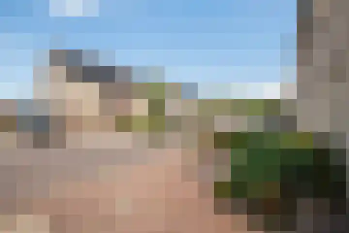 Zonnebloempad 40 Swifterbant thumbnail 7