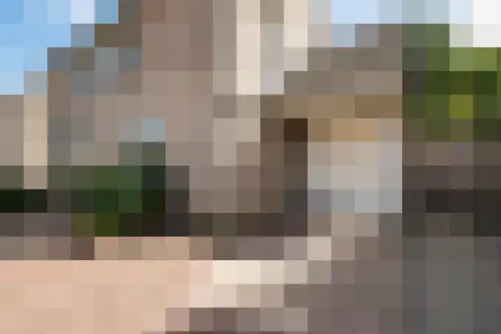 Zonnebloempad 40 Swifterbant thumbnail 8