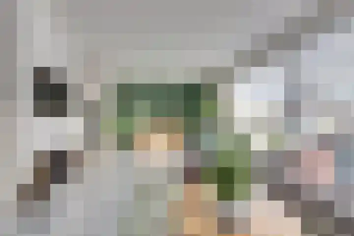 Zonnebloemstraat 1 Colijnsplaat thumbnail 11