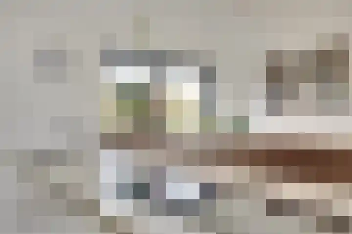 Zonnebloemstraat 1 Colijnsplaat thumbnail 16