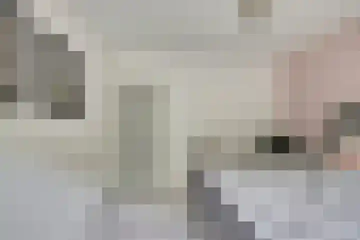 Zonnebloemstraat 1 Colijnsplaat thumbnail 21