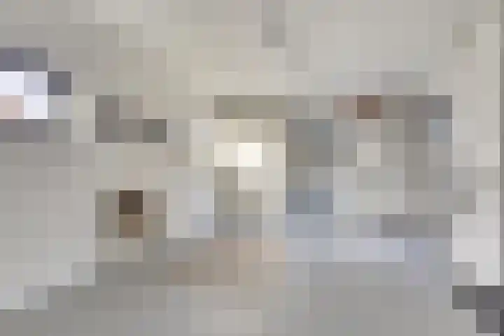 Zonnebloemstraat 1 Colijnsplaat thumbnail 24