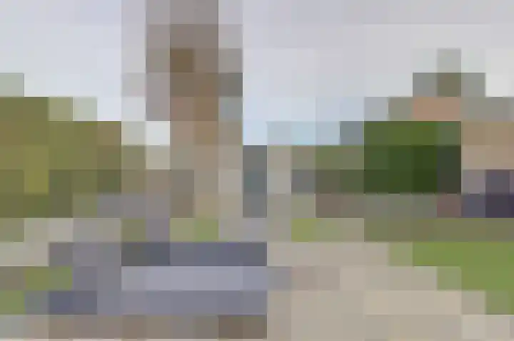 Zonnebloemstraat 1 Colijnsplaat thumbnail 31