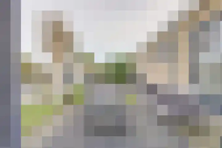 Zonnebloemstraat 1 Colijnsplaat thumbnail 32