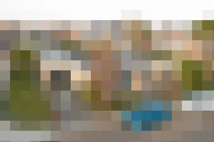 Zonnebloemstraat 1 Colijnsplaat thumbnail 37