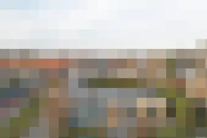 Zonnebloemstraat 1 Colijnsplaat thumbnail 39