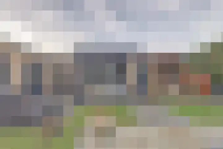 Zonnebloemstraat 1 Colijnsplaat thumbnail 4