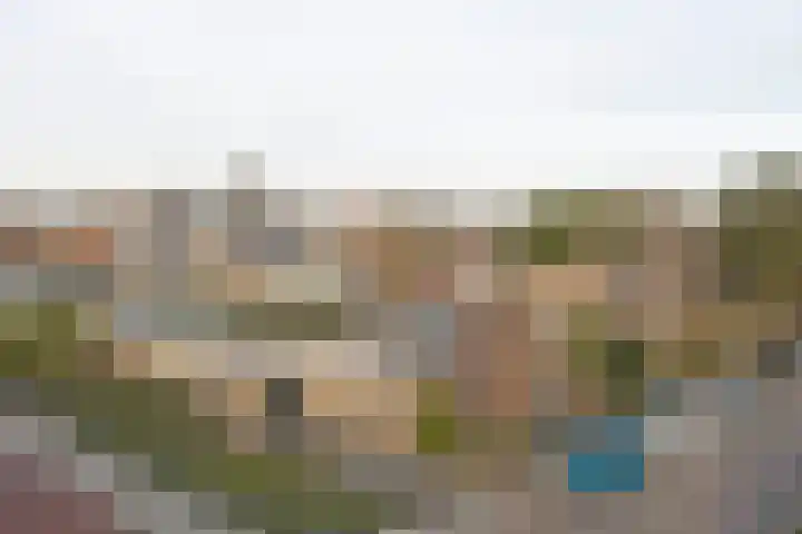 Zonnebloemstraat 1 Colijnsplaat thumbnail 40