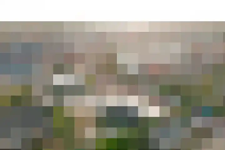 Zonnebloemstraat 1 Colijnsplaat thumbnail 44