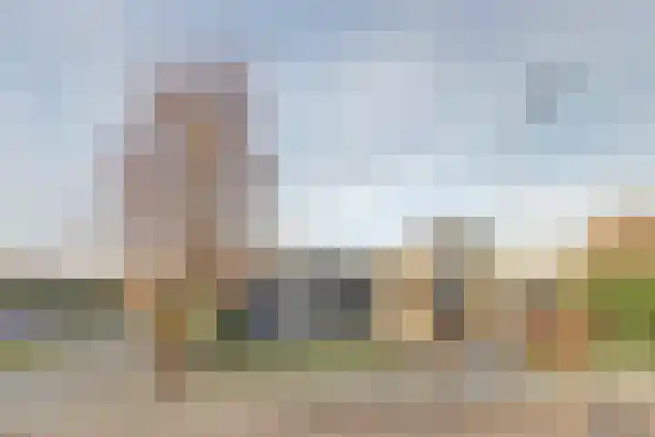 Zonnebloemstraat 1 Colijnsplaat thumbnail 45