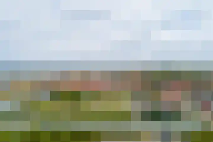 Zonnebloemstraat 1 Colijnsplaat thumbnail 47