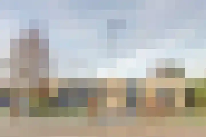 Zonnebloemstraat 1 Colijnsplaat thumbnail 5