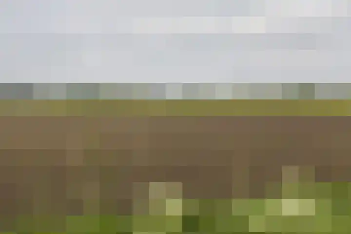 Zonnebloemstraat 1 Colijnsplaat thumbnail 50