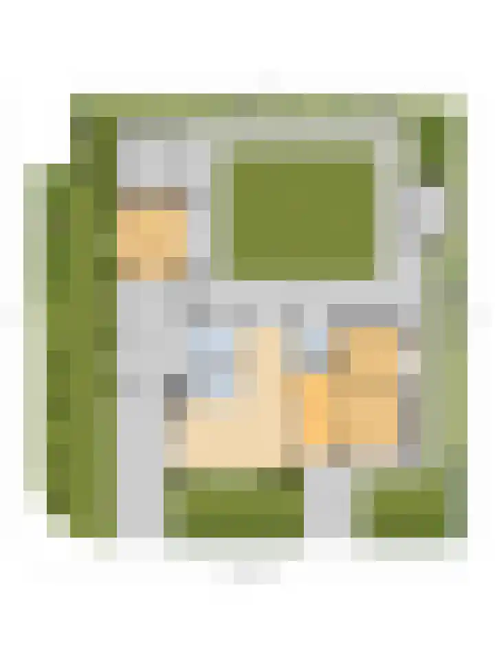Zonnebloemstraat 1 Colijnsplaat thumbnail 52