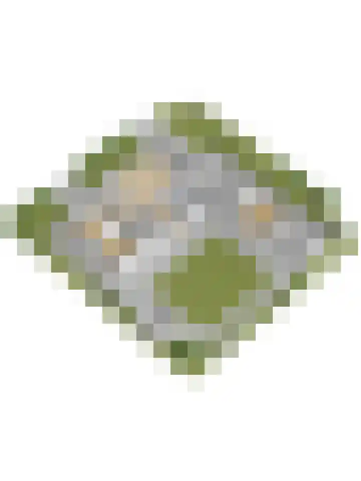 Zonnebloemstraat 1 Colijnsplaat thumbnail 55