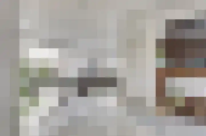 Zonnebloemstraat 1 Colijnsplaat thumbnail 7