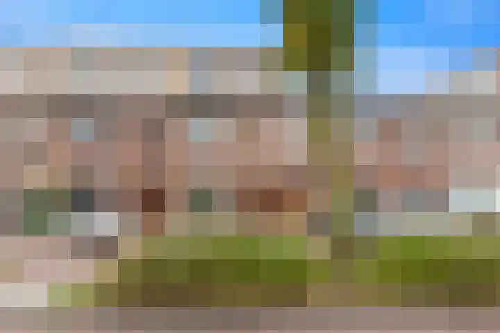 Zonnebloemstraat 10 in Den Haag