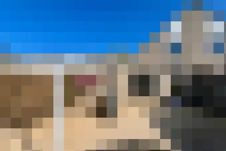 Zonnebloemstraat 10 Didam thumbnail 10
