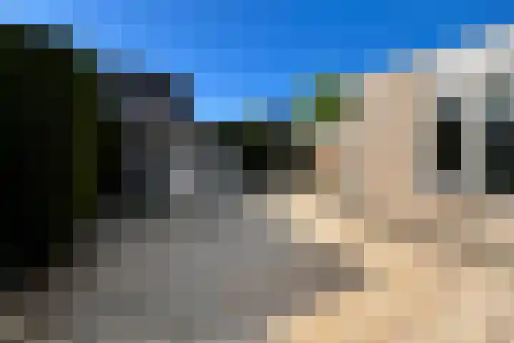 Zonnebloemstraat 10 Didam thumbnail 11