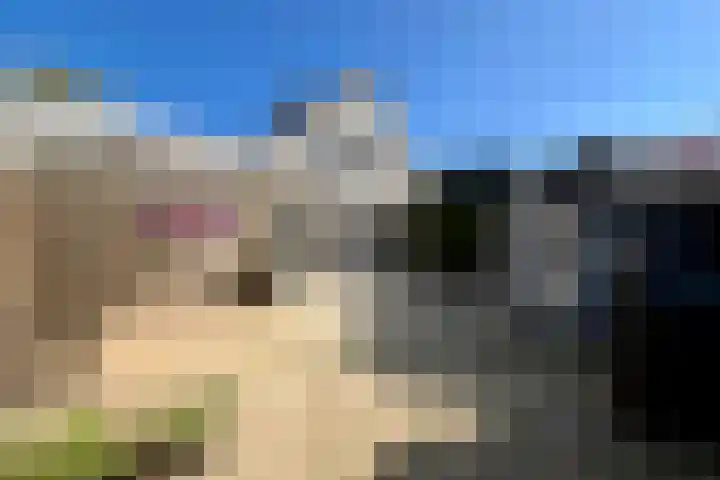 Zonnebloemstraat 10 Didam thumbnail 13