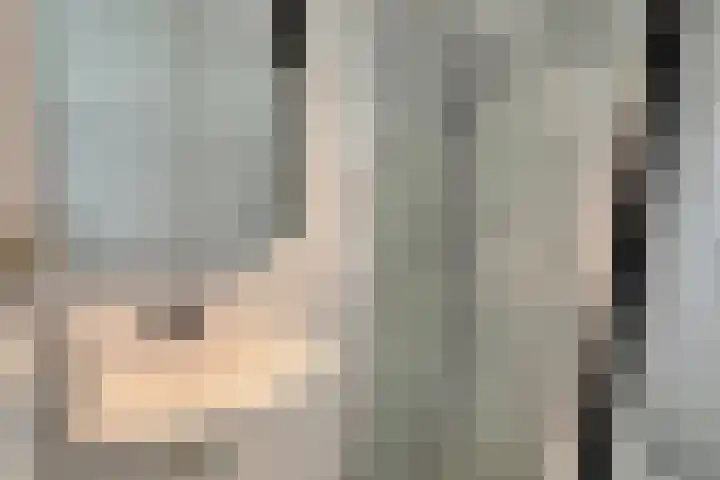 Zonnebloemstraat 10 Didam thumbnail 19