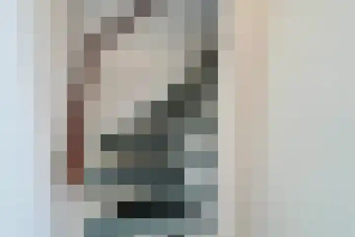 Zonnebloemstraat 10 Didam thumbnail 25
