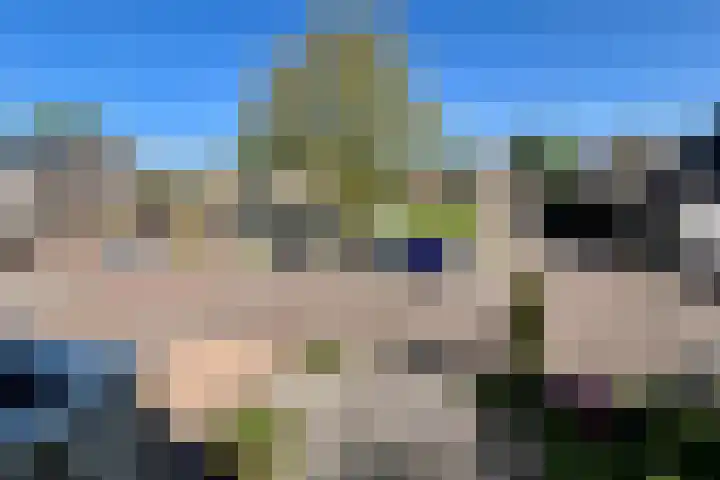 Zonnebloemstraat 10 Didam thumbnail 27