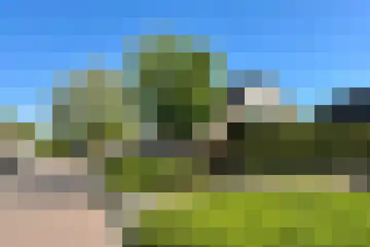 Zonnebloemstraat 10 Didam thumbnail 31