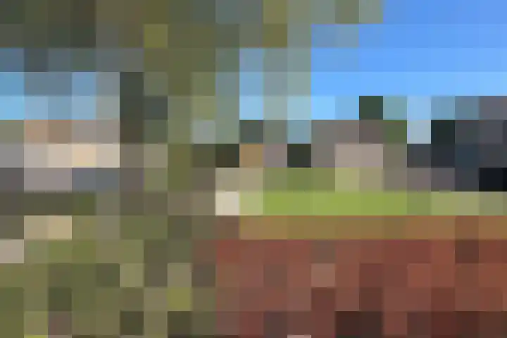 Zonnebloemstraat 10 Didam thumbnail 4